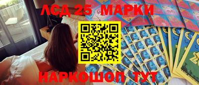 СК Моздок