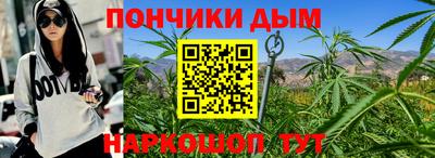 кокс Можга