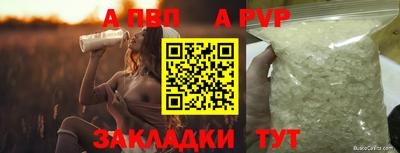 СК Моздок