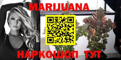 кокс Можга