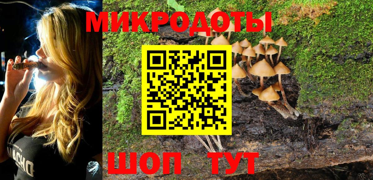купить  сайты  Вход с VPN  Златоуст  Галлюциногенные грибы Psilocybe 